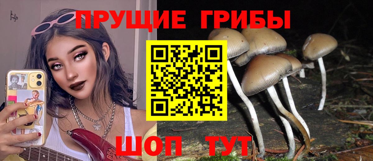 Ленинск-Кузнецкий  Галлюциногенные грибы Cubensis  купить наркоту  Галлюциногенные грибы Cubensis  Вход с VPN 